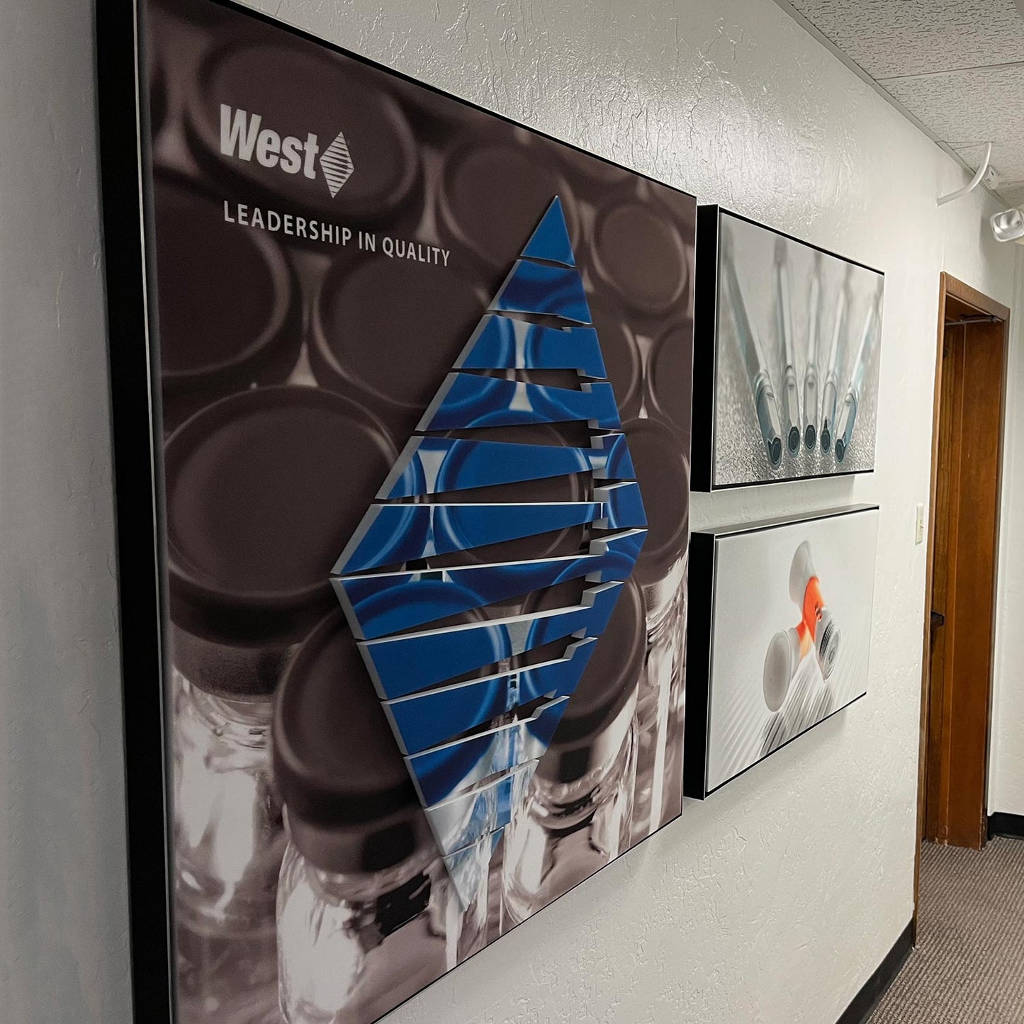 Custom Printed Framed Acoustic Foam with Relief