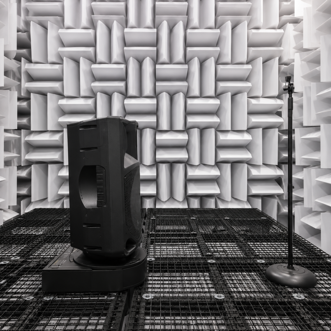 Anechoic chamber with Wedge Acoustic Panels