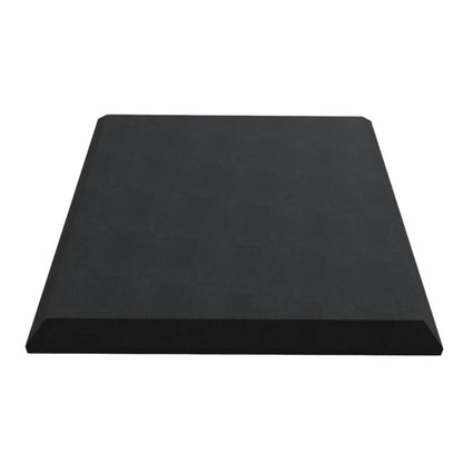 Applied Acoustic Ceiling Tiles In Obsidian™